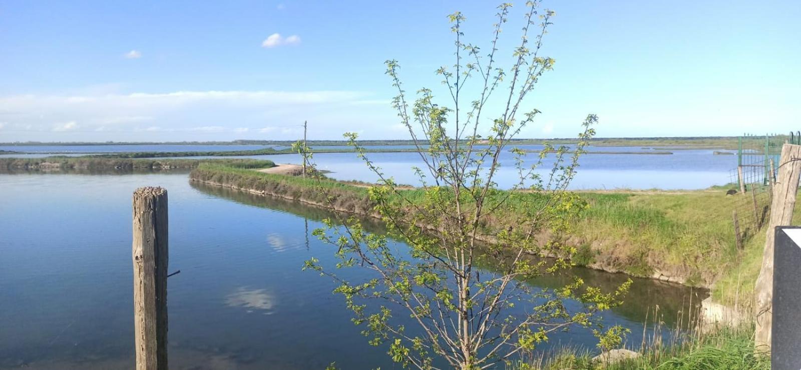 Casa Vacanze Nel Delta Del Po Taglio di Po Exteriör bild