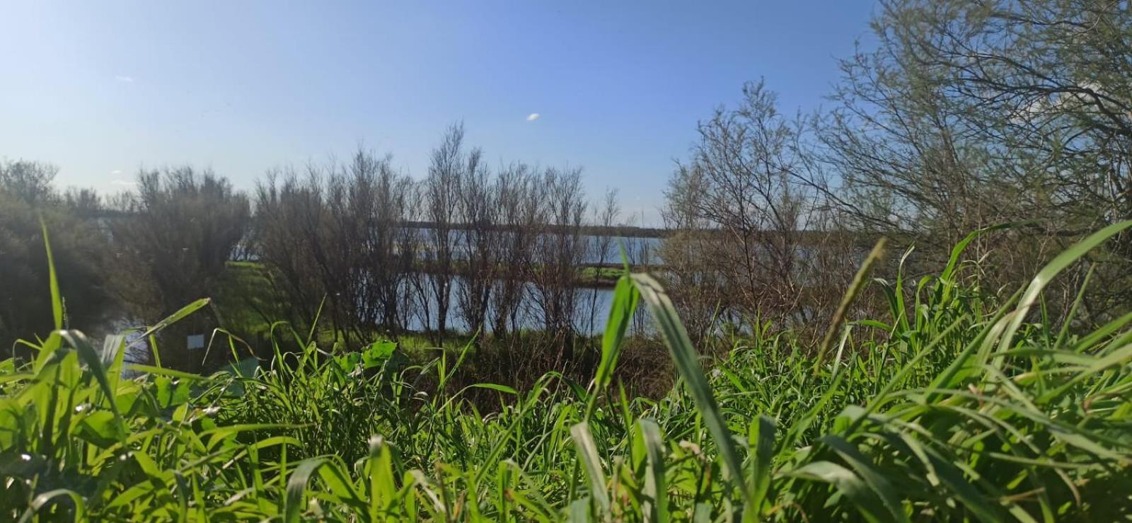 Casa Vacanze Nel Delta Del Po Taglio di Po Exteriör bild