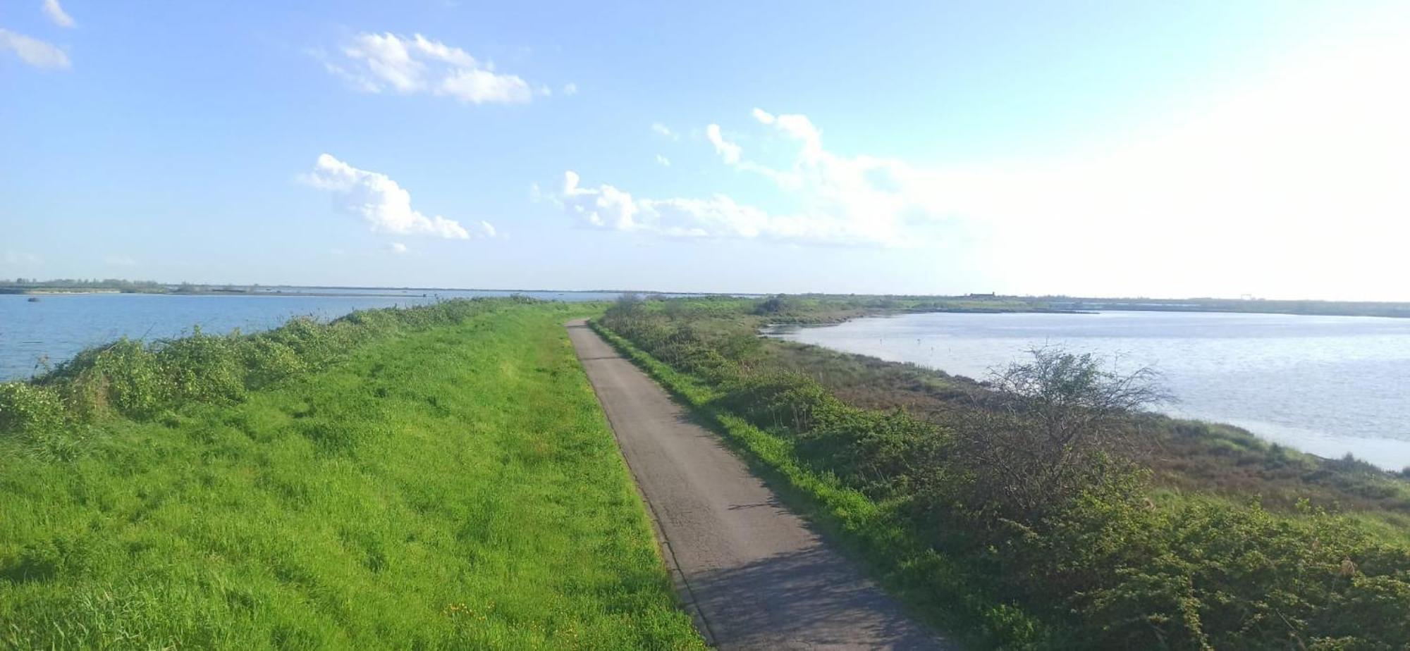 Casa Vacanze Nel Delta Del Po Taglio di Po Exteriör bild