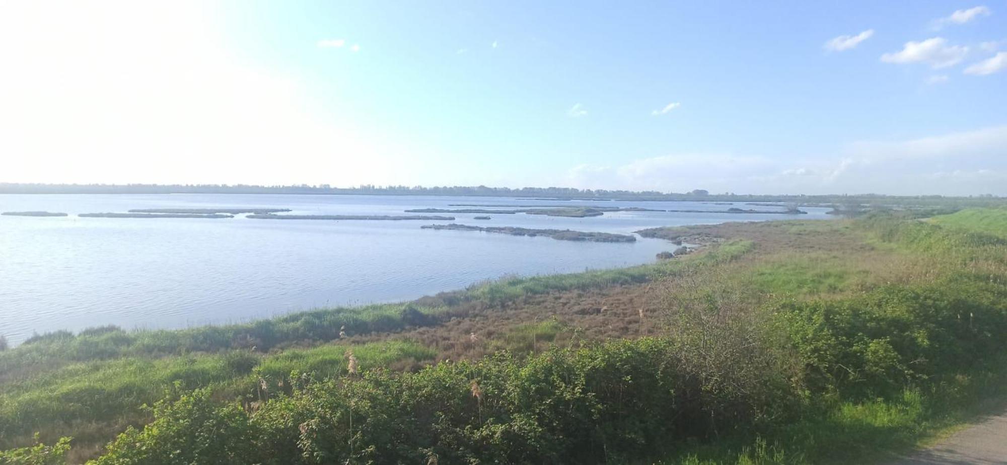 Casa Vacanze Nel Delta Del Po Taglio di Po Exteriör bild