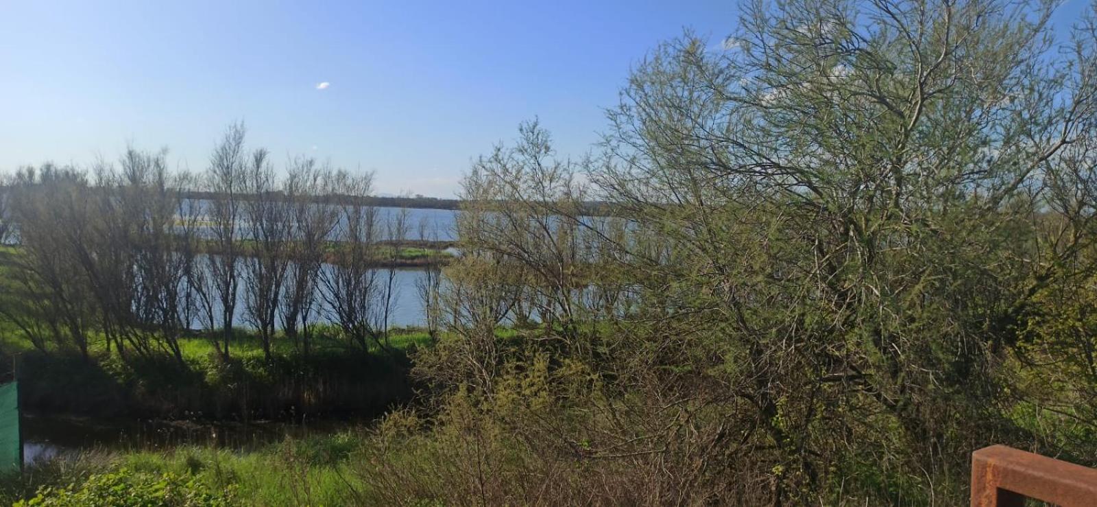 Casa Vacanze Nel Delta Del Po Taglio di Po Exteriör bild