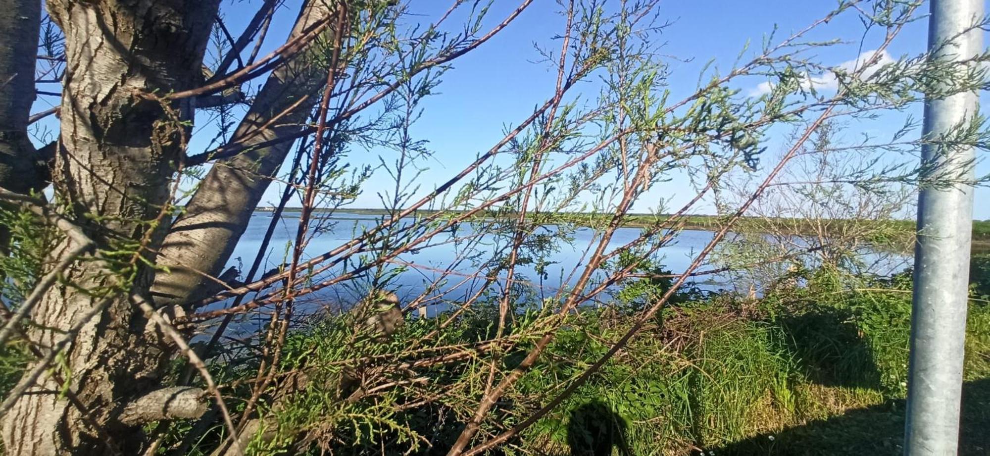 Casa Vacanze Nel Delta Del Po Taglio di Po Exteriör bild
