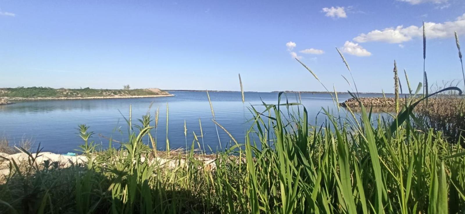 Casa Vacanze Nel Delta Del Po Taglio di Po Exteriör bild