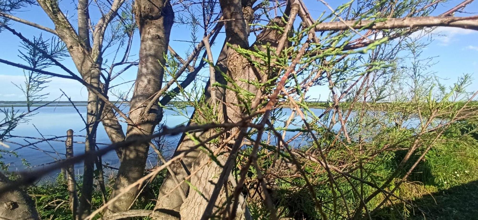 Casa Vacanze Nel Delta Del Po Taglio di Po Exteriör bild