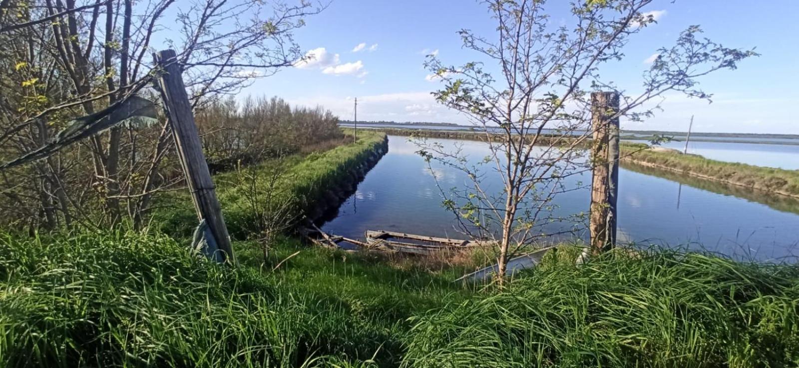 Casa Vacanze Nel Delta Del Po Taglio di Po Exteriör bild