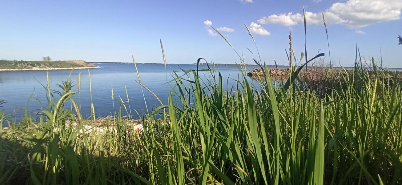 Casa Vacanze Nel Delta Del Po Taglio di Po Exteriör bild
