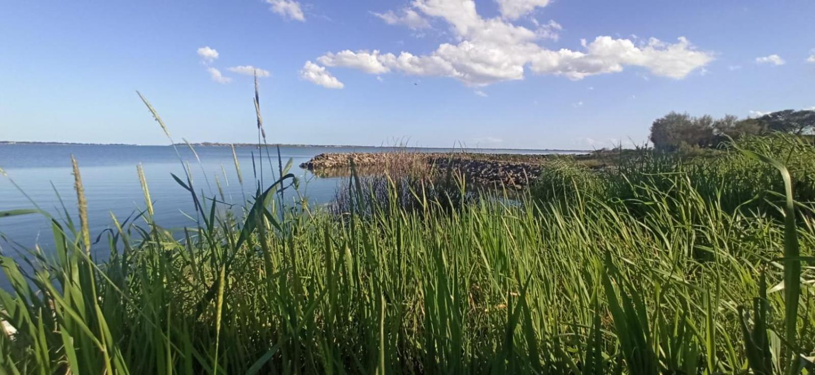 Casa Vacanze Nel Delta Del Po Taglio di Po Exteriör bild