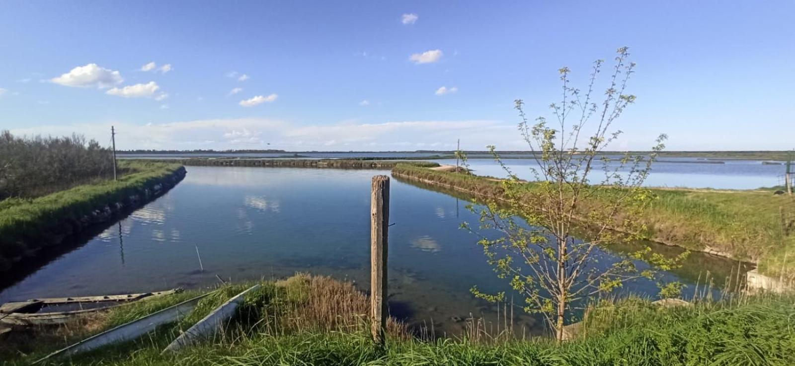 Casa Vacanze Nel Delta Del Po Taglio di Po Exteriör bild