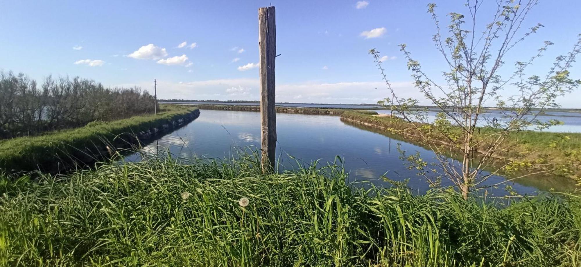 Casa Vacanze Nel Delta Del Po Taglio di Po Exteriör bild