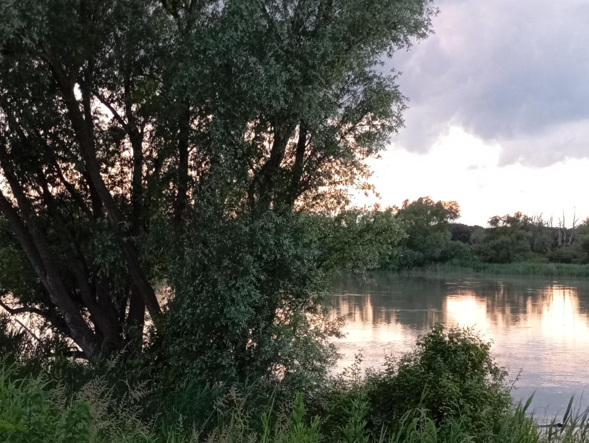 Casa Vacanze Nel Delta Del Po Taglio di Po Exteriör bild