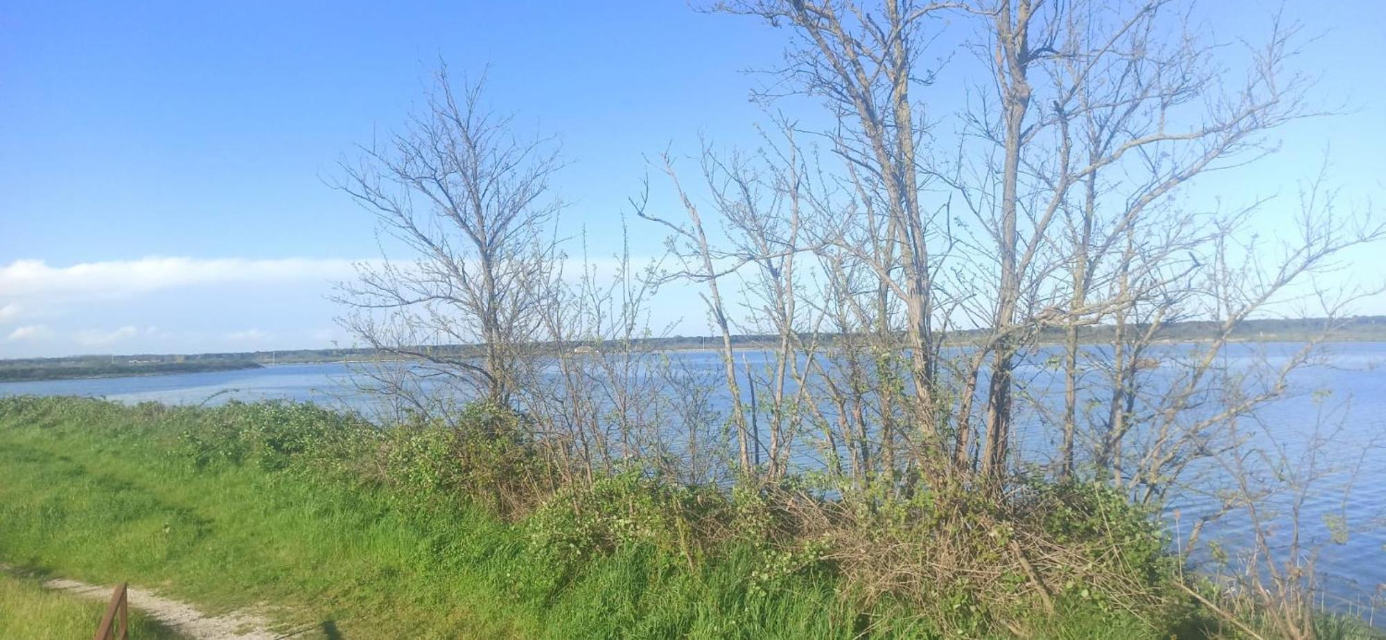 Casa Vacanze Nel Delta Del Po Taglio di Po Exteriör bild