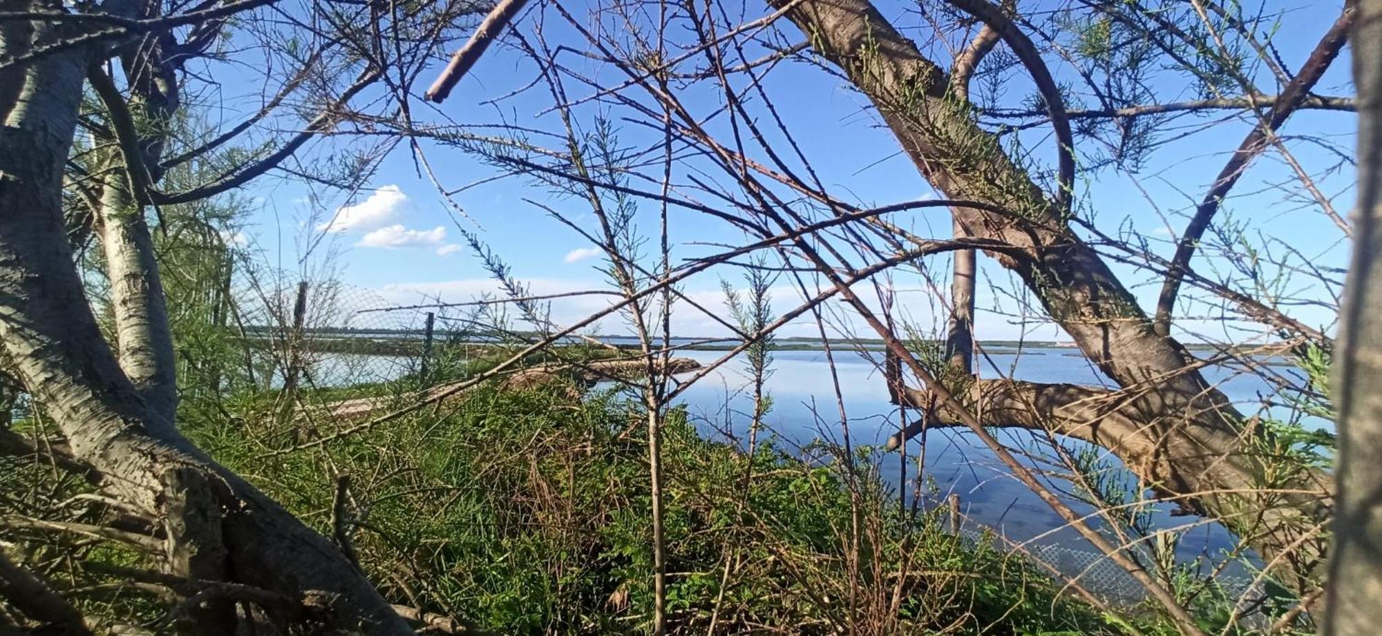 Casa Vacanze Nel Delta Del Po Taglio di Po Exteriör bild