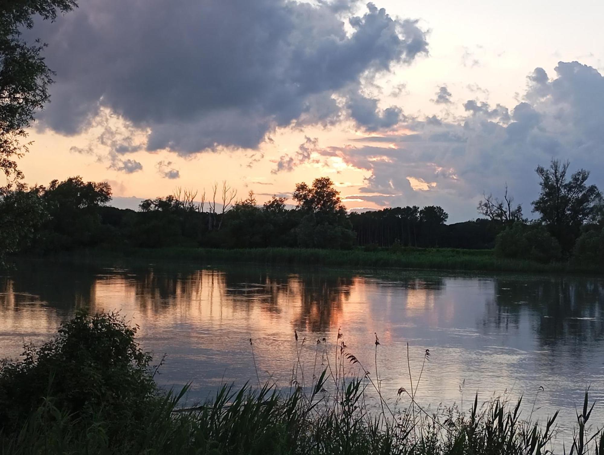 Casa Vacanze Nel Delta Del Po Taglio di Po Exteriör bild