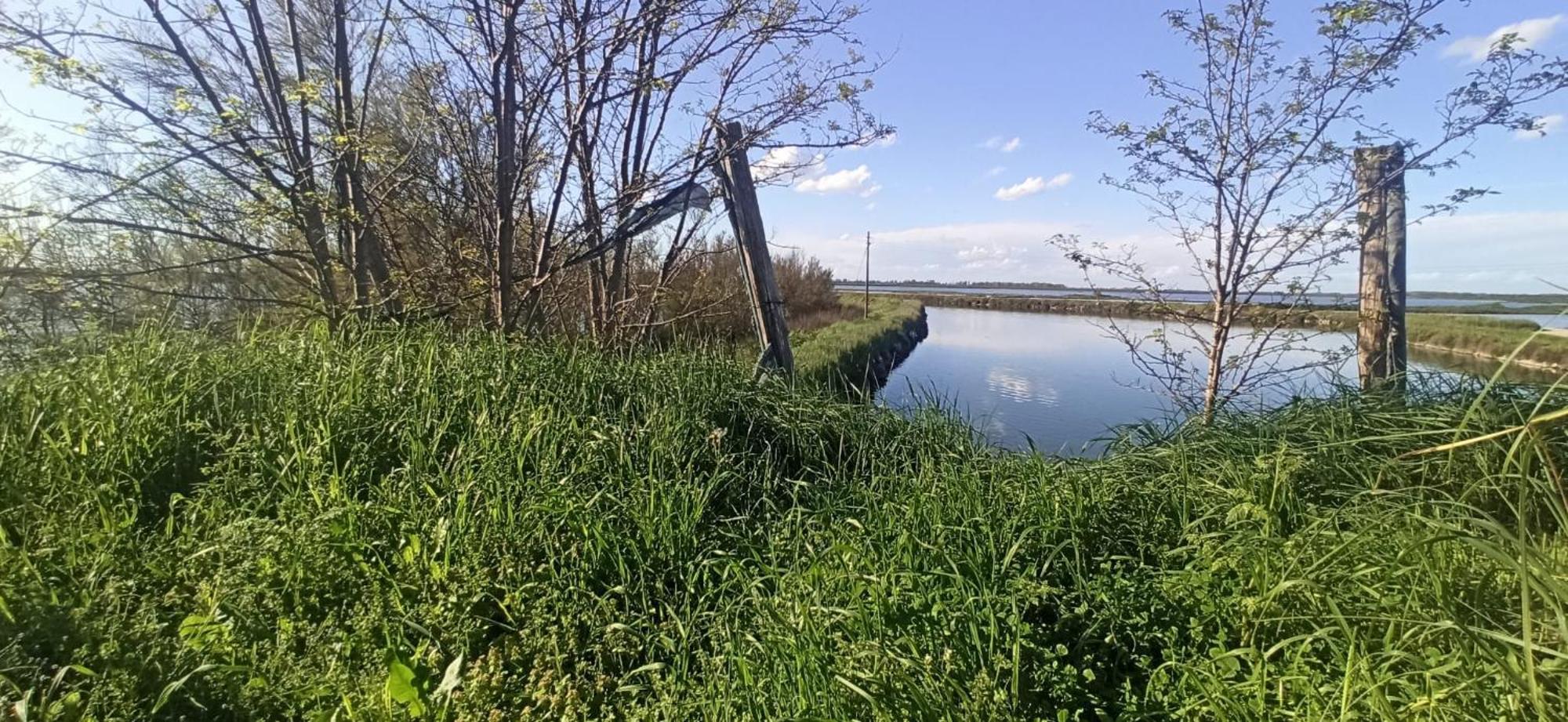 Casa Vacanze Nel Delta Del Po Taglio di Po Exteriör bild
